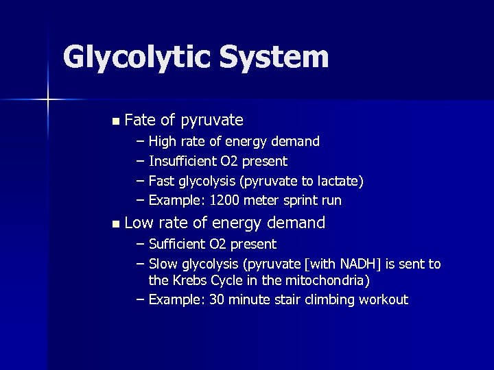 Glycolytic System n Fate of pyruvate – High rate of energy demand – Insufficient