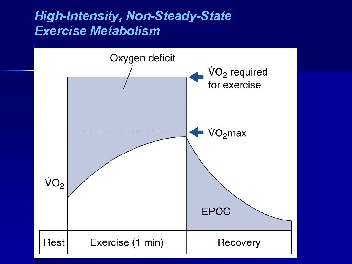 High-Intensity, Non-Steady-State Exercise Metabolism 