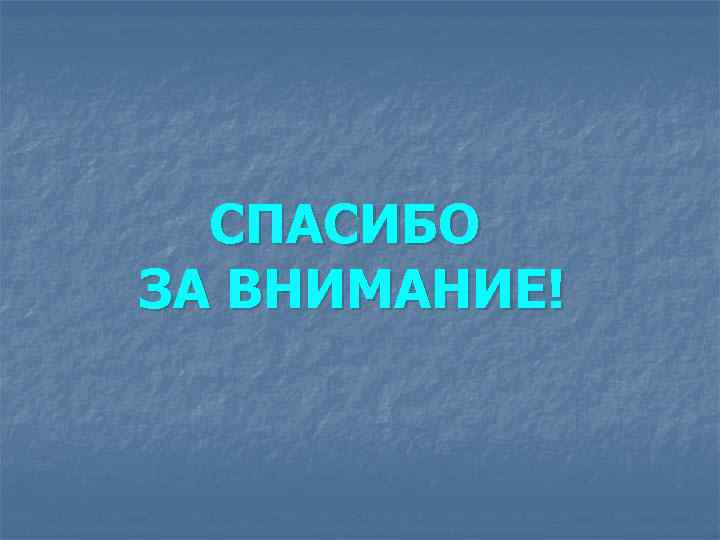 СПАСИБО ЗА ВНИМАНИЕ! 