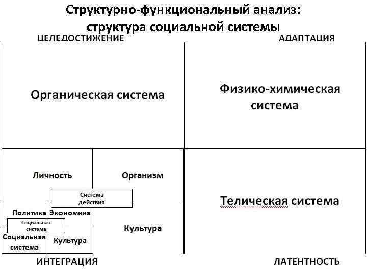 Структурно-функциональный анализ: структура социальной системы 