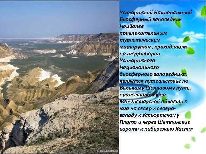 Устюртский Национальный Биосферный заповедник Наиболее привлекательным туристическим маршрутом, проходящим по территории Устюртского Национального биосферного