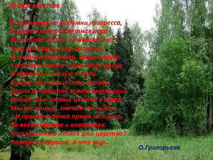 Лесное царство И, несмотря на выдумки прогресса, Волнует всех рассветная пора И светлая незащищенность