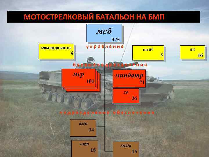 Структура мотострелкового батальона вс рф нового образца