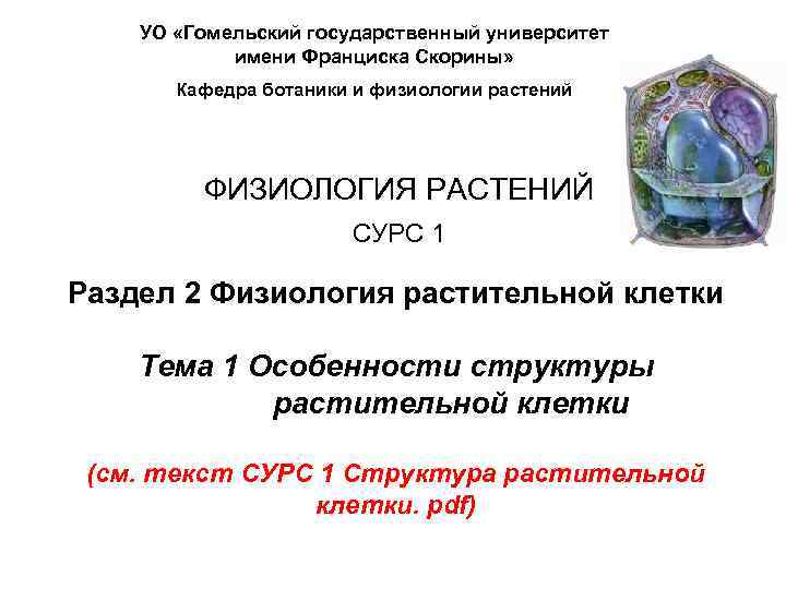 УО «Гомельский государственный университет имени Франциска Скорины» Кафедра ботаники и физиологии растений ФИЗИОЛОГИЯ РАСТЕНИЙ