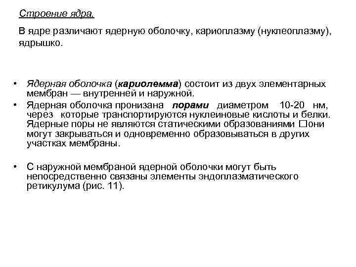 Строение ядра. В ядре различают ядерную оболочку, кариоплазму (нуклеоплазму), ядрышко. • Ядерная оболочка (кариолемма)
