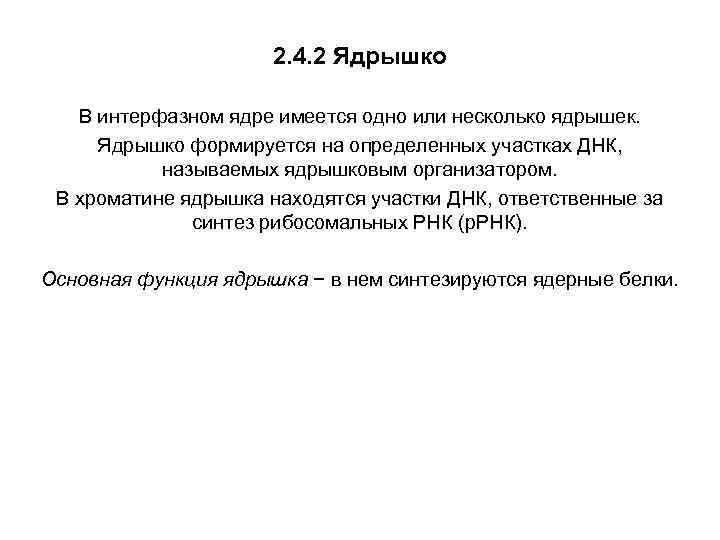 2. 4. 2 Ядрышко В интерфазном ядре имеется одно или несколько ядрышек. Ядрышко формируется