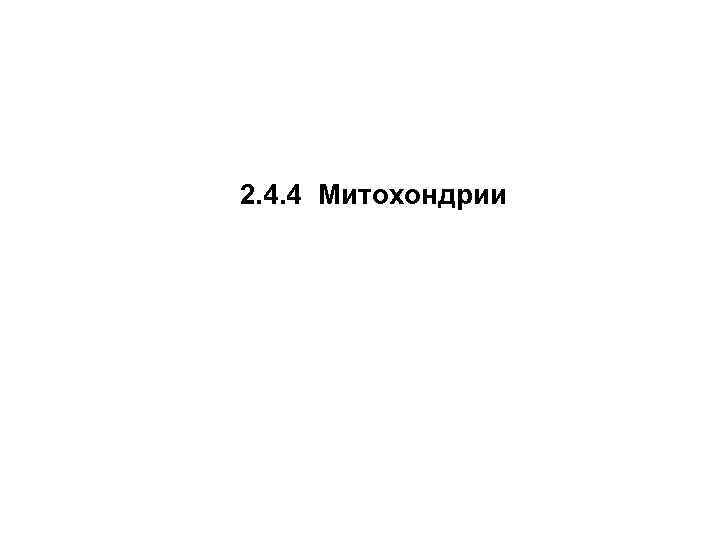 2. 4. 4 Митохондрии 