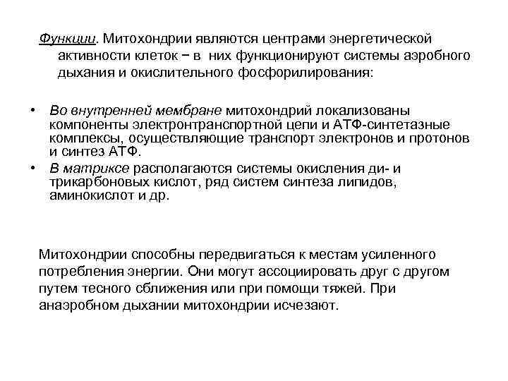 Функции. Митохондрии являются центрами энергетической активности клеток − в них функционируют системы аэробного дыхания