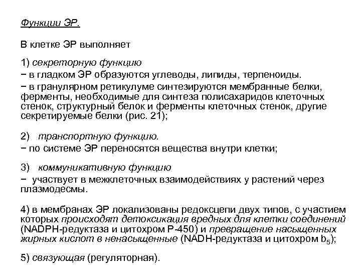 Функции ЭР. В клетке ЭР выполняет 1) секреторную функцию − в гладком ЭР образуются