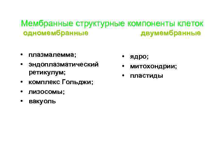 Мембранные структурные компоненты клеток одномембранные • плазмалемма; • эндоплазматический ретикулум; • комплекс Гольджи; •
