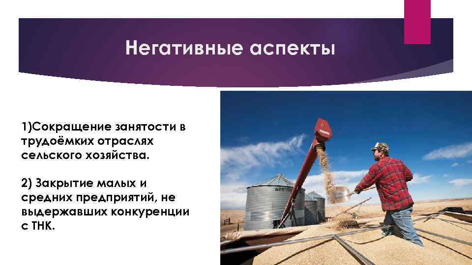 Негативные аспекты 1)Сокращение занятости в трудоёмких отраслях сельского хозяйства. 2) Закрытие малых и средних