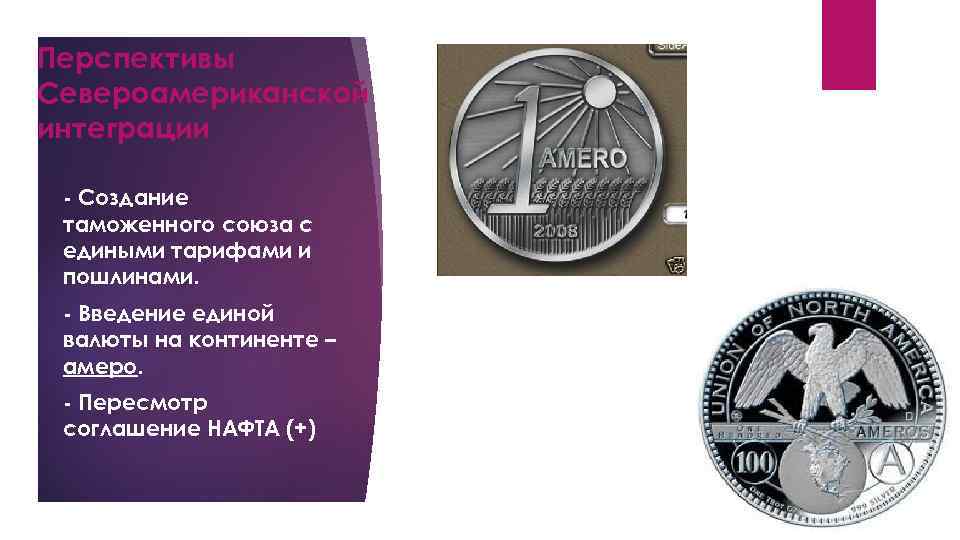 Перспективы Североамериканской интеграции - Создание таможенного союза с едиными тарифами и пошлинами. - Введение
