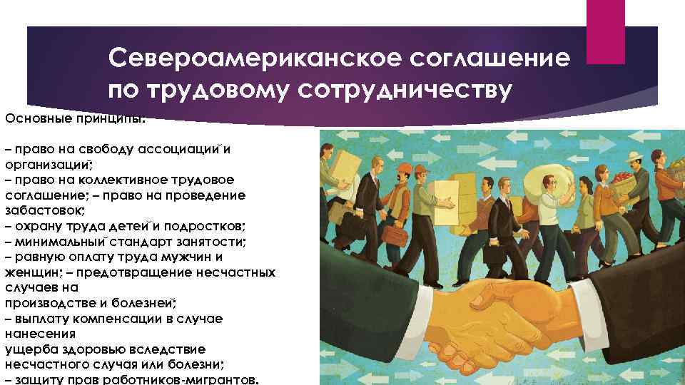 Североамериканское соглашение по трудовому сотрудничеству Основные принципы: – право на свободу ассоциации и организации