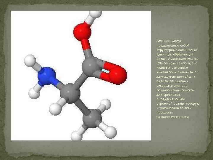 Аминокислоты представляют собой структурные химические единицы, образующие белки. Аминокислоты на 16% состоят из азота,