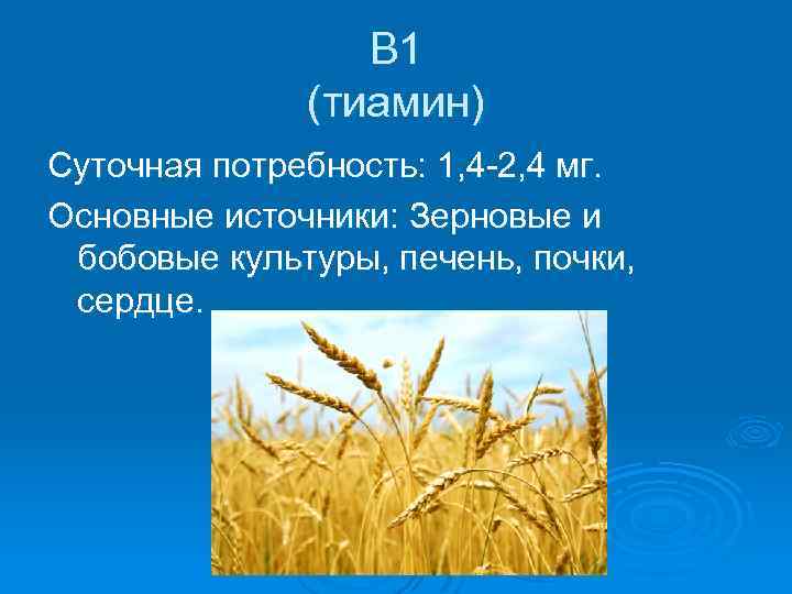 В 1 (тиамин) Суточная потребность: 1, 4 -2, 4 мг. Основные источники: Зерновые и