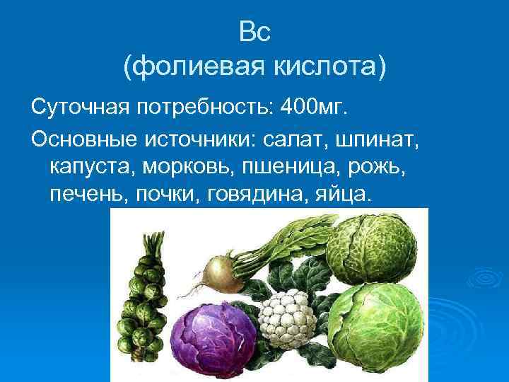 Вс (фолиевая кислота) Суточная потребность: 400 мг. Основные источники: салат, шпинат, капуста, морковь, пшеница,