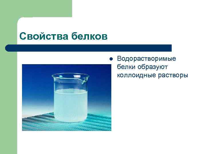 Свойства белков l Водорастворимые белки образуют коллоидные растворы 