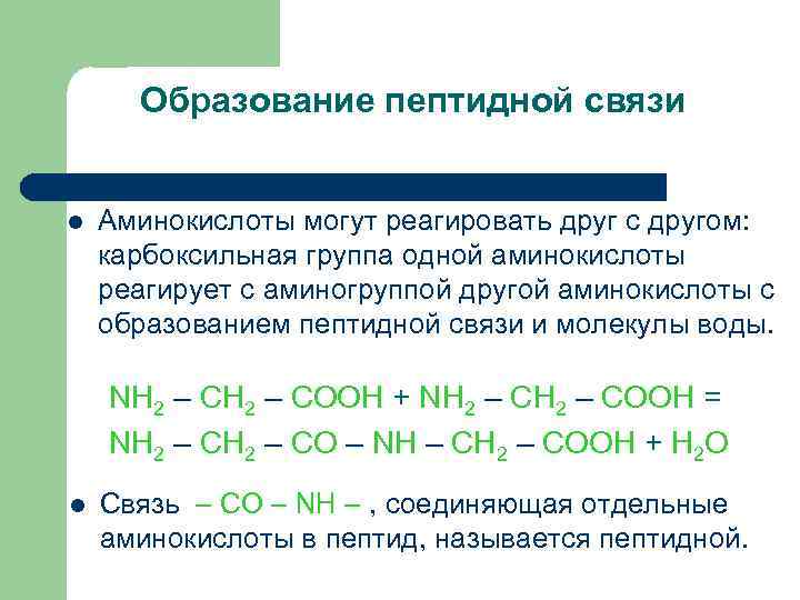 Образование пептидной связи l Аминокислоты могут реагировать друг с другом: карбоксильная группа одной аминокислоты