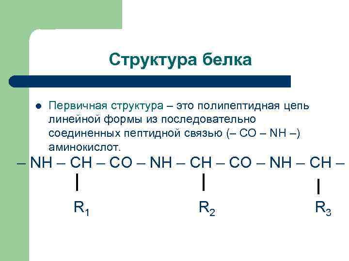 Первичную структуру белков определяет. Первичная структура белка полипептидная цепь. Первичная структура белка формула. Строение белков структурная формула. Первичная структура полипептидной цепи.