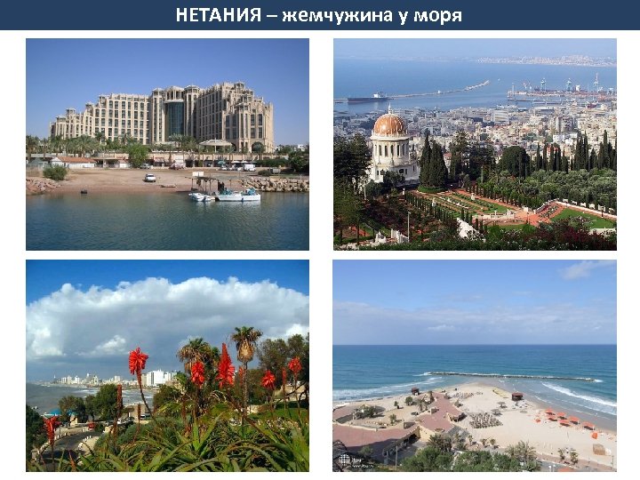 НЕТАНИЯ – жемчужина у моря 