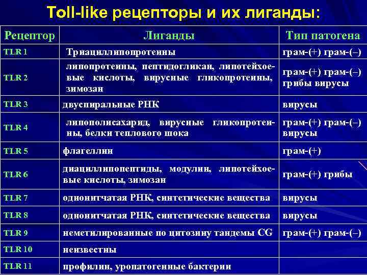 Toll-like рецепторы и их лиганды: Рецептор TLR 1 TLR 2 TLR 3 TLR 4