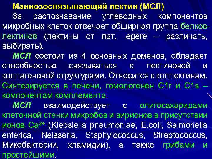 Маннозосвязывающий лектин (МСЛ) За распознавание углеводных компонентов микробных клеток отвечает обширная группа белковлектинов (лектины