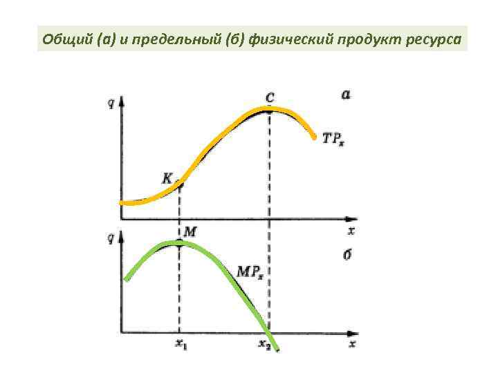 Общий (а) и предельный (б) физический продукт ресурса 