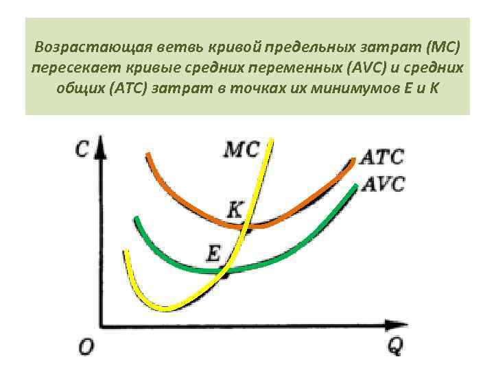 Возрастающая ветвь кривой предельных затрат (МС) пересекает кривые средних переменных (AVC) и средних общих