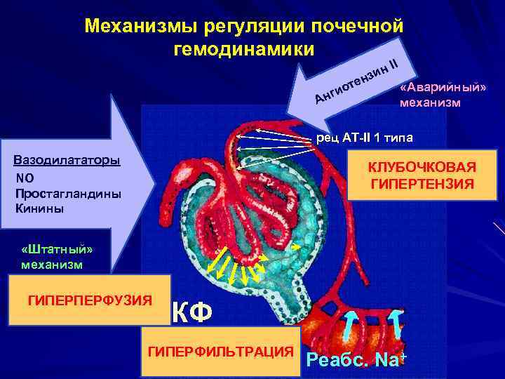 Клубочковая фильтрация