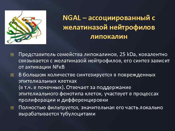 NGAL – ассоциированный с желатиназой нейтрофилов липокалин Представитель семейства липокалинов, 25 k. Da, ковалентно