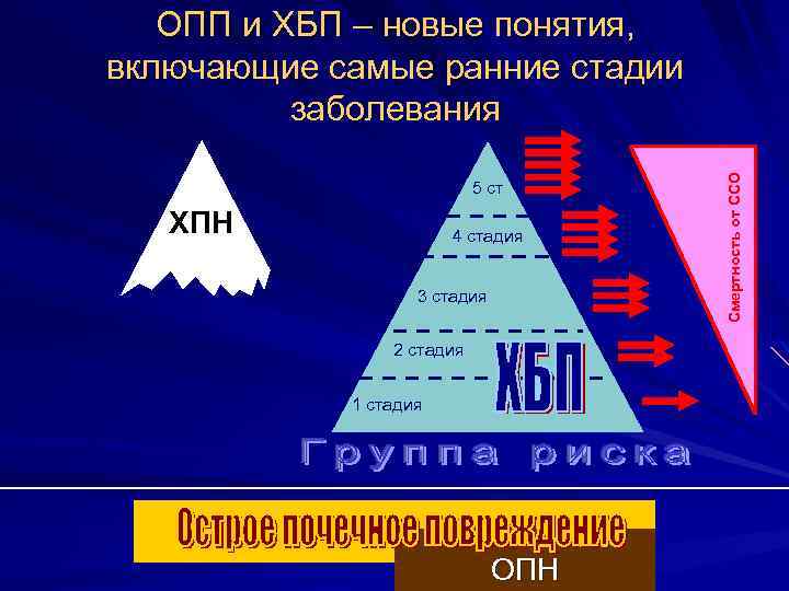 5 ст ХПН 4 стадия 3 стадия 2 стадия 1 стадия ОПН Смертность от