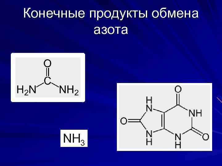 Конечные продукты обмена азота NH 3 