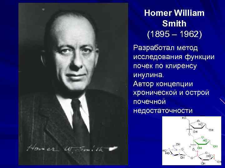 Homer William Smith (1895 – 1962) Разработал метод исследования функции почек по клиренсу инулина.