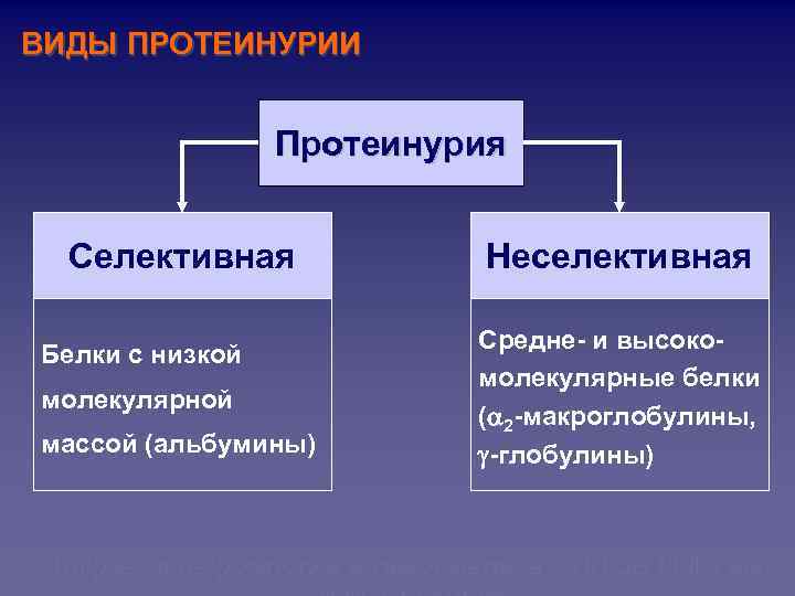 ВИДЫ ПРОТЕИНУРИИ Протеинурия Селективная Белки с низкой молекулярной массой (альбумины) Неселективная Средне- и высокомолекулярные