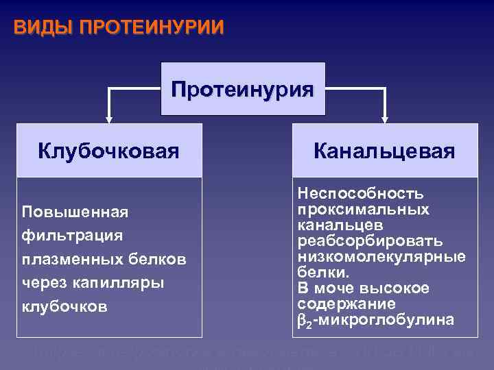 ВИДЫ ПРОТЕИНУРИИ Протеинурия Клубочковая Повышенная фильтрация плазменных белков через капилляры клубочков Канальцевая Неспособность проксимальных