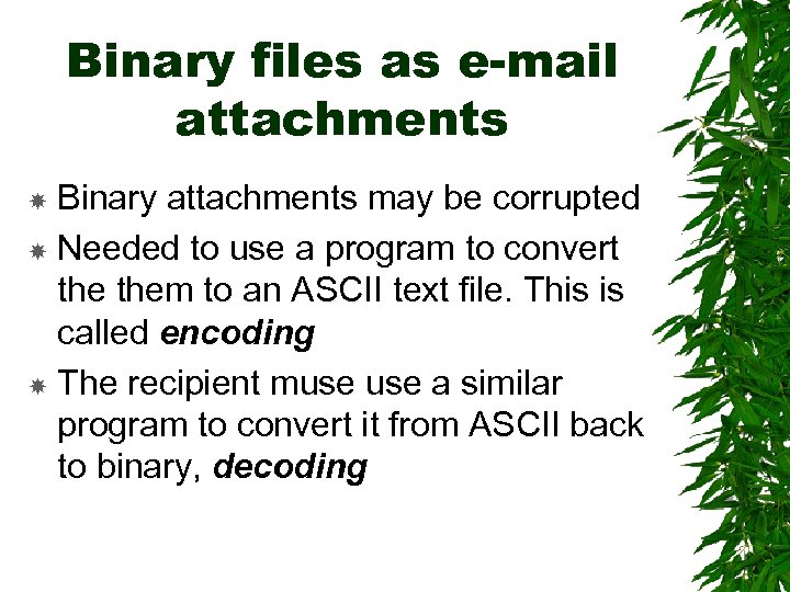 Binary files as e-mail attachments Binary attachments may be corrupted Needed to use a