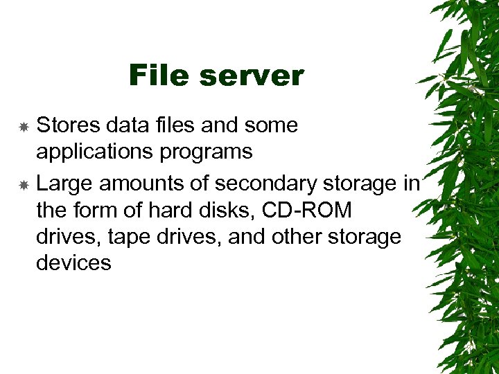 File server Stores data files and some applications programs Large amounts of secondary storage