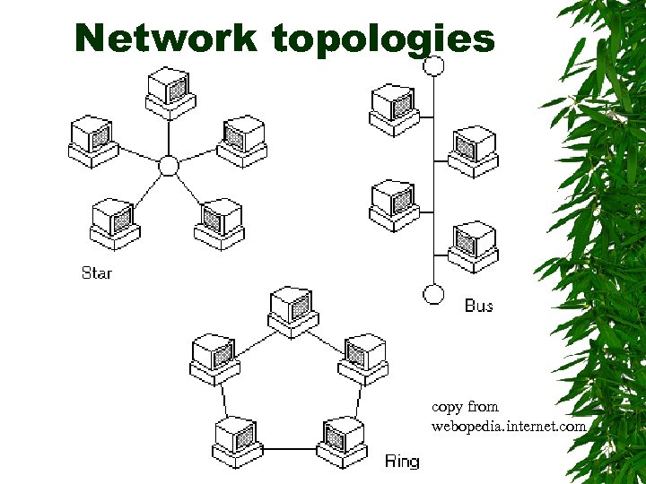 Network topologies copy from webopedia. internet. com 