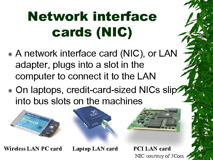 Network interface cards (NIC) A network interface card (NIC), or LAN adapter, plugs into