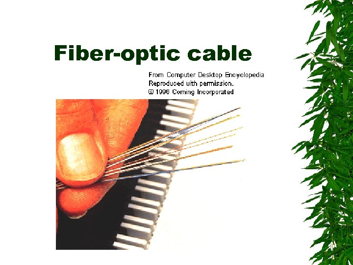 Fiber-optic cable 