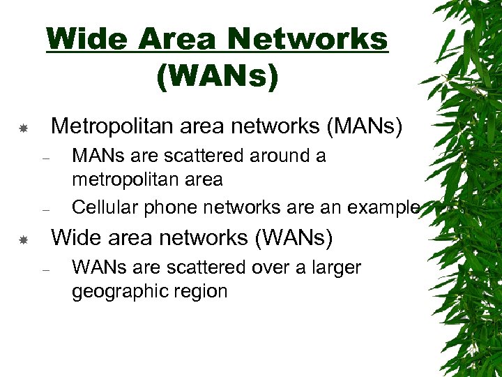 Wide Area Networks (WANs) Metropolitan area networks (MANs) – – MANs are scattered around