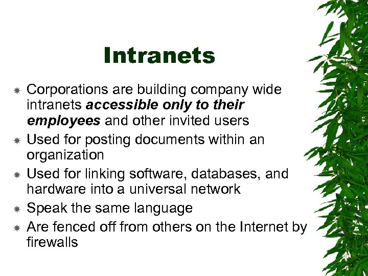 Intranets Corporations are building company wide intranets accessible only to their employees and other