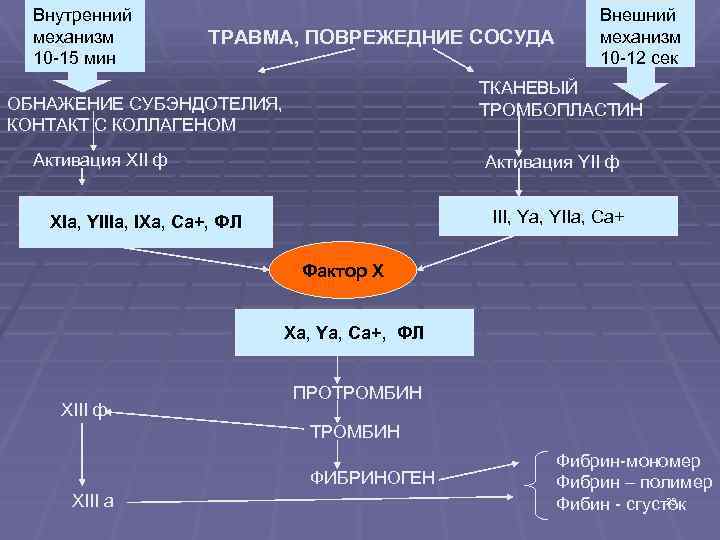 Внутренний механизм 10 -15 мин ТРАВМА, ПОВРЕЖЕДНИЕ СОСУДА Внешний механизм 10 -12 сек ТКАНЕВЫЙ