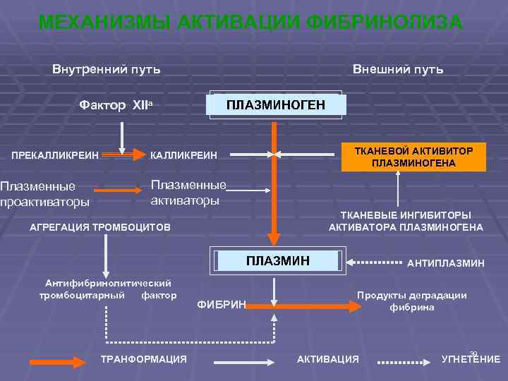 Схема фибринолиза физиология