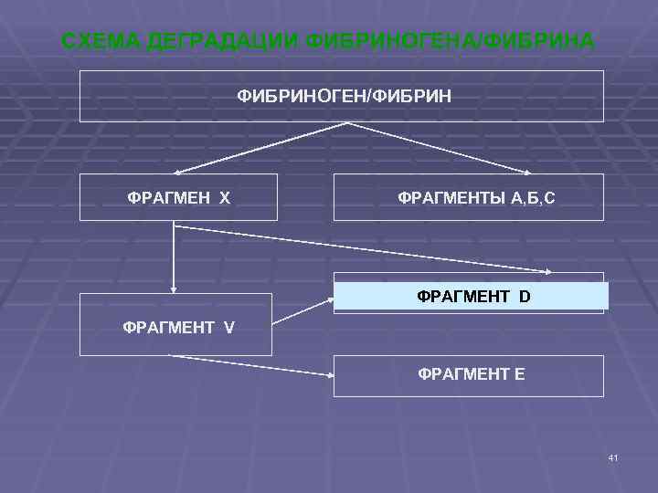 СХЕМА ДЕГРАДАЦИИ ФИБРИНОГЕНА/ФИБРИНА ФИБРИНОГЕН/ФИБРИН ФРАГМЕН X ФРАГМЕНТЫ А, Б, С ФРАГМЕНТ D ФРАГМЕНТ V