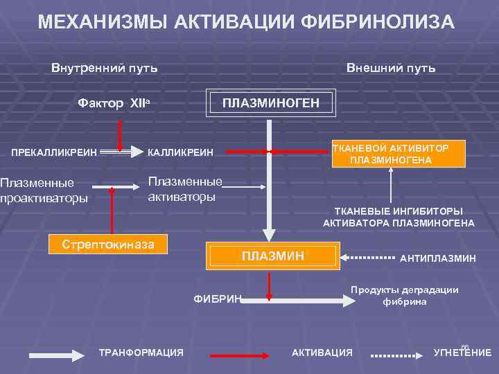 Активаторы плазминогена