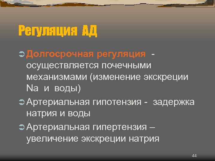 Регуляция АД Ü Долгосрочная регуляция осуществляется почечными механизмами (изменение экскреции Na и воды) Ü