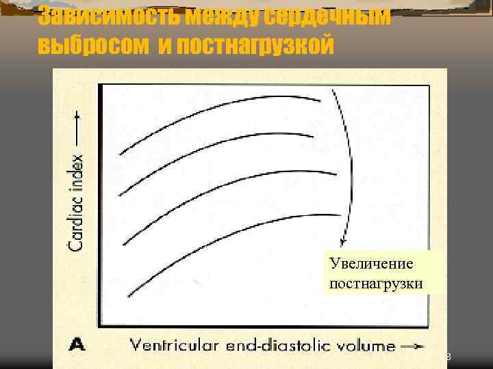 Зависимость между сердечным выбросом и постнагрузкой Увеличение постнагрузки 28 
