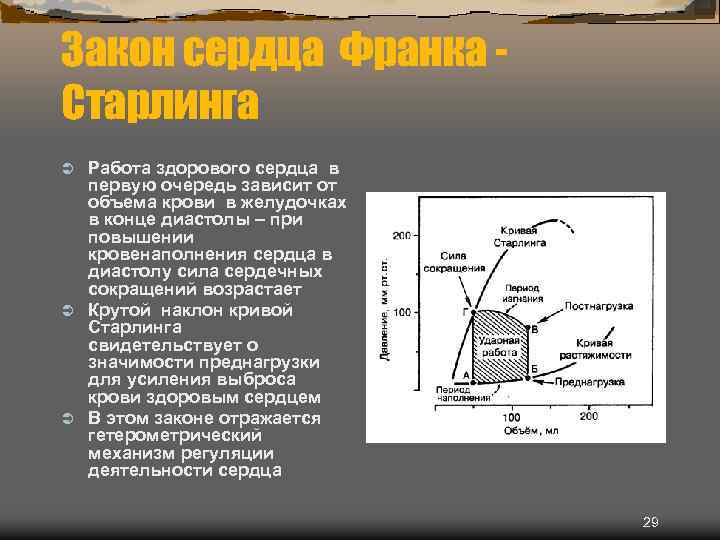 Закон сердца Франка Старлинга Работа здорового сердца в первую очередь зависит от объема крови