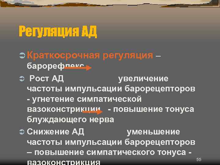 Регуляция АД Ü Краткосрочная регуляция – барорефлекс Ü Рост АД увеличение частоты импульсации барорецепторов